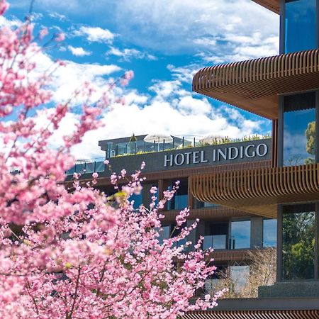 Hotel Indigo Alishan By Ihg Fanlu Ngoại thất bức ảnh