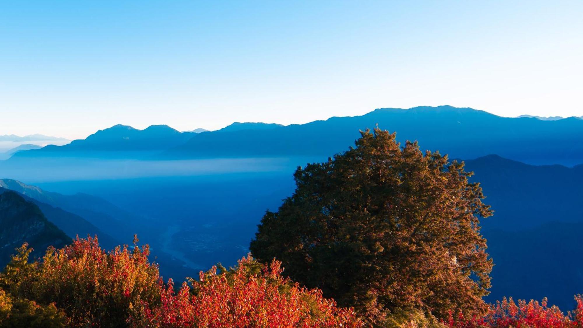 Hotel Indigo Alishan By Ihg Fanlu Ngoại thất bức ảnh