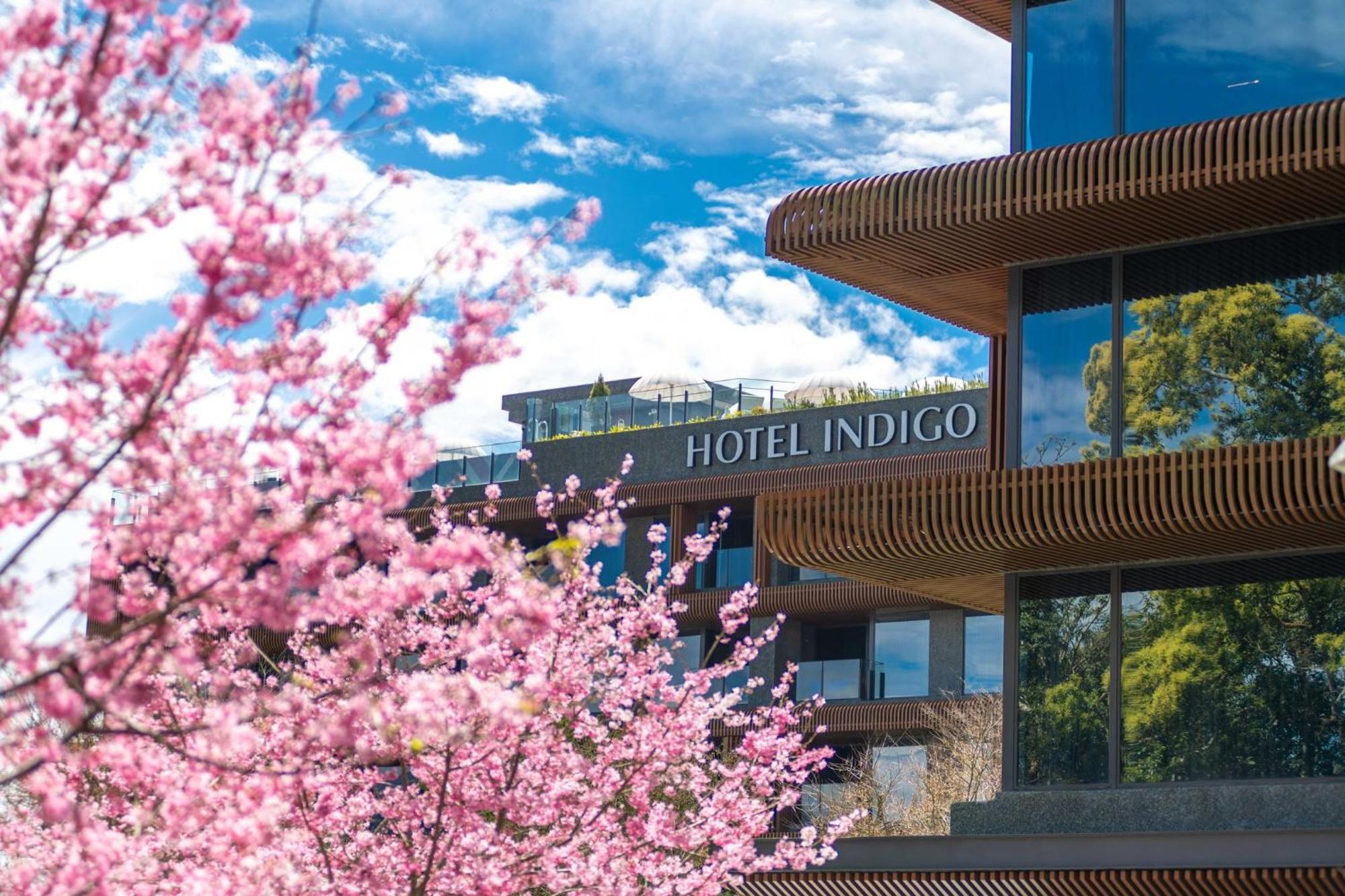 Hotel Indigo Alishan By Ihg Fanlu Ngoại thất bức ảnh